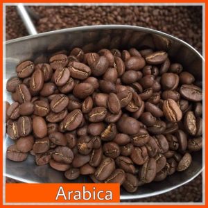 Cà phê Arabica đặc biệt – Số 1 1 Ca phe Arabica dac biet – So 1 1