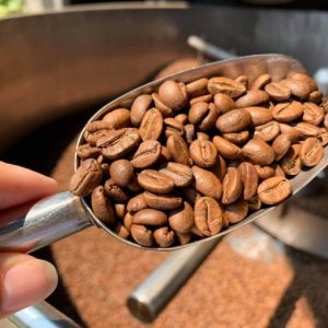 Ca phe Arabica – So 3 1