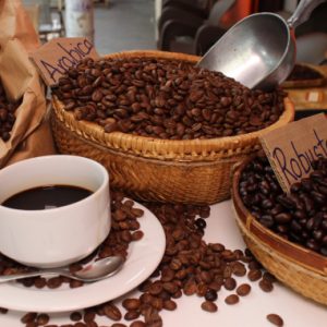 Ca phe Arabica – So 3